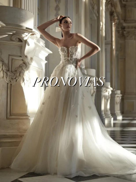 Model wearing a bridal gown by Pronovias
