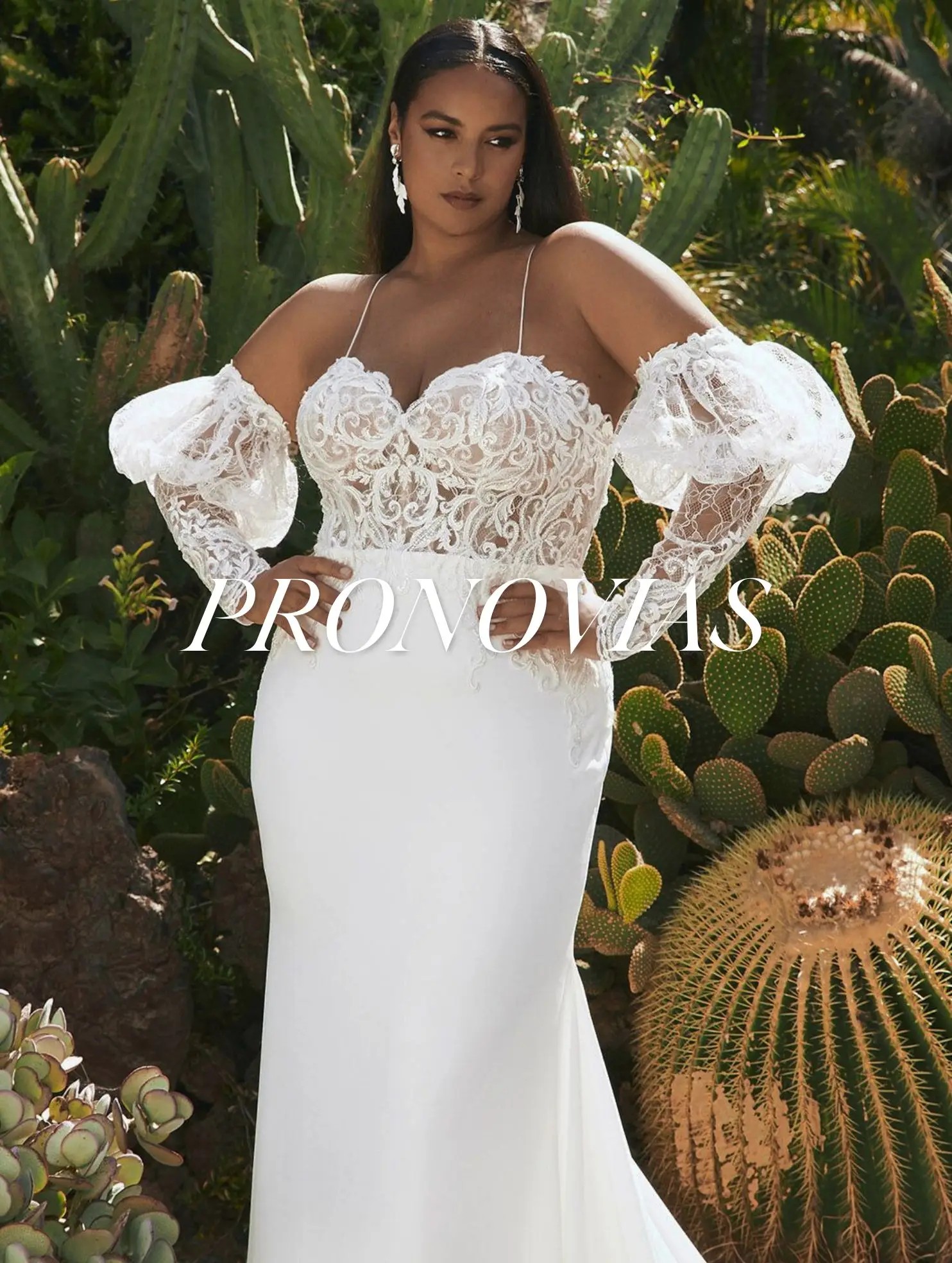 Pronovias Wedding Dresses