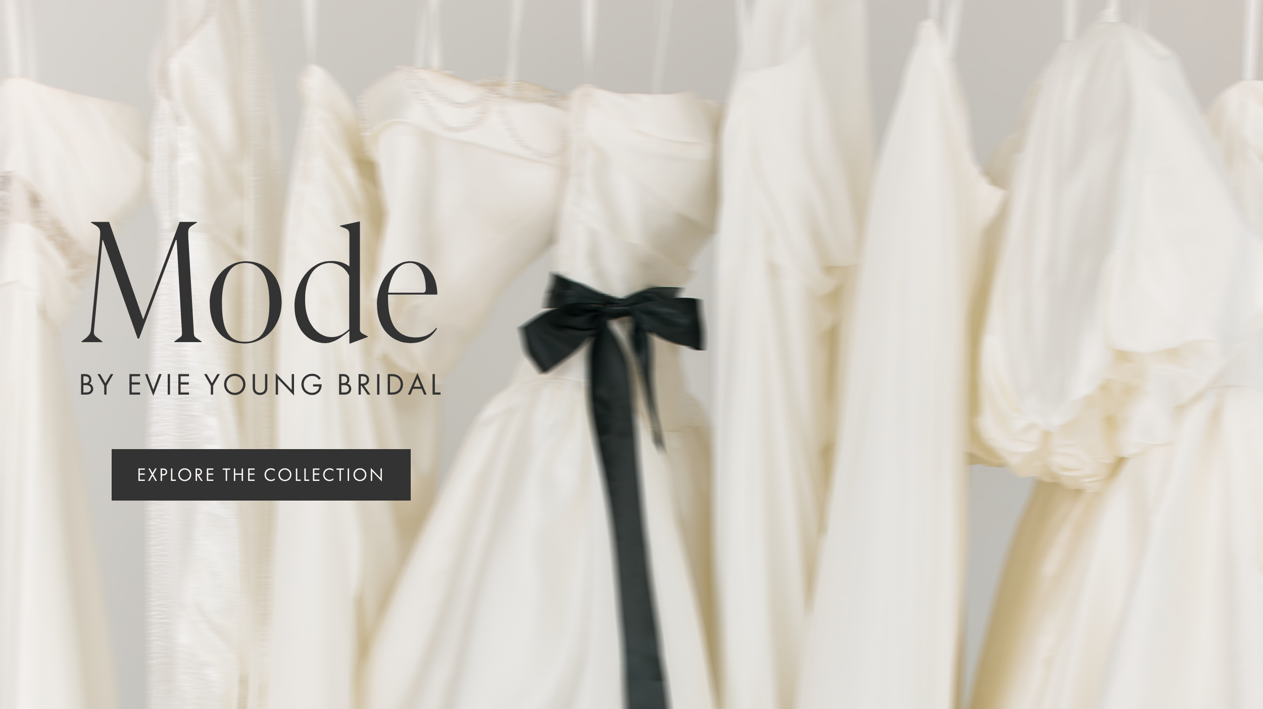 Evie Young Desktop Banner
